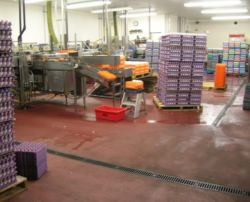 Willamette Egg Farms polyester flooring installation Oregon