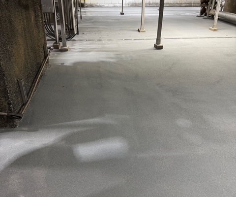 Epoxy flooring installation in Washington Potato processing